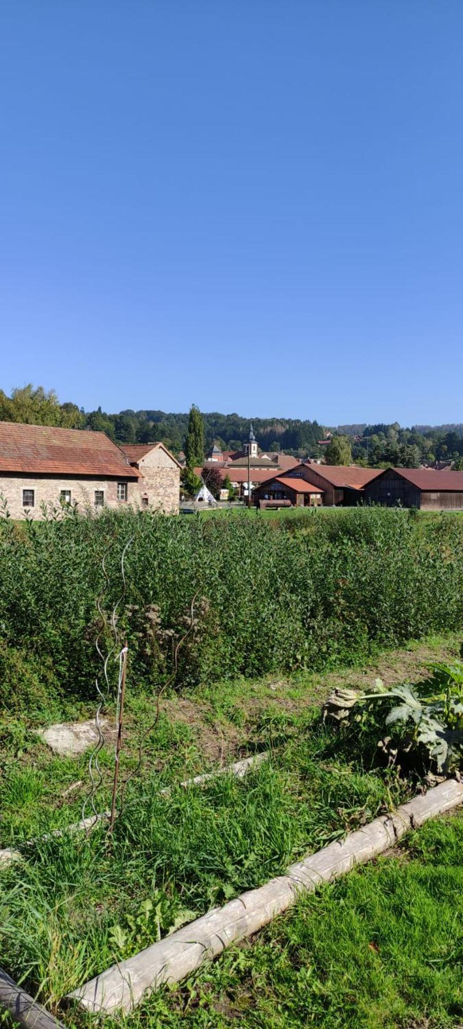 La Fontaine Aux Enfants - Gr5 - Chambre Avec Sdb Privee Abreschviller Zewnętrze zdjęcie